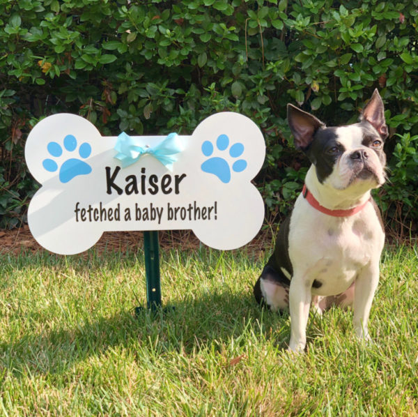 BLUE DOG BONE SIGN - Fox Cities Storks and More - Stork Sign Rental, Fox Cities, Greater Appleton Area, WI