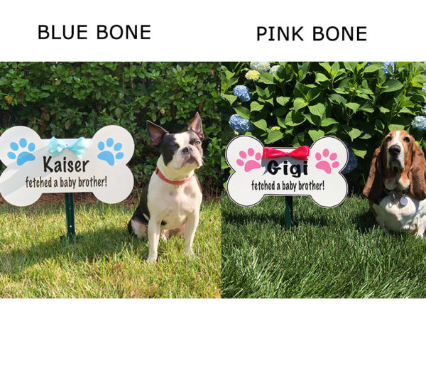 Pink and Blue Dog Bone Sign - Fox Cities Storks and More - Stork Sign Rental, Phoenix , AZ